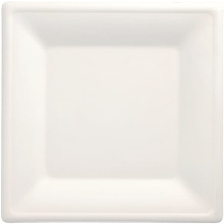 1x 100 Borden van suikerriet pure hoekig 26 cm x 26 cm wit