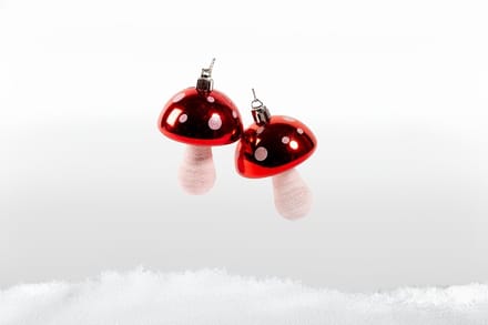 Decoratie · Paddenstoel kersthangers · 2 stuks