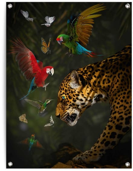 Tuinposter Jungledieren - 80 x 60 - Canvas - REINDERS