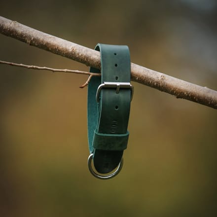 Cooper & Quint Bold Brede Leren Halsband - Groen - Medium - 3 cm - Zilver