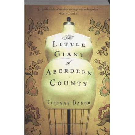 Little Giant Of Aberdeen County - Tiffany Baker