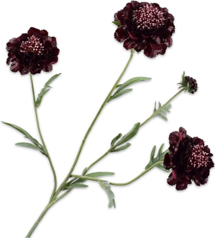 Silk-ka - Kunstbloem - scabiosa - paars - H80 cm