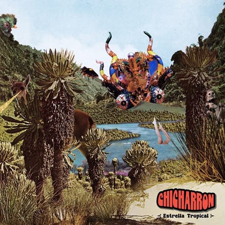 Chicharron - Estrella Tropical (CD)