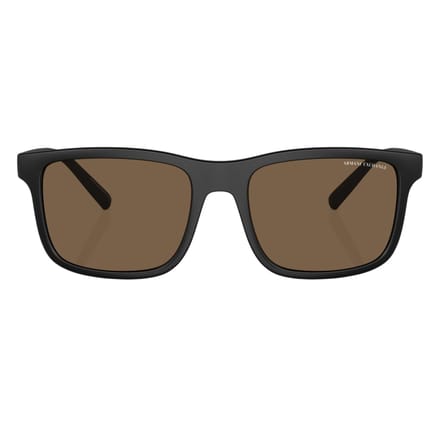 Armani Exchange Effen zonnebril (Bruin/zwart)