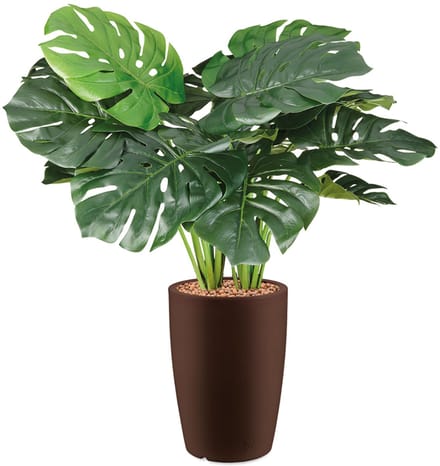 HTT - Kunstplant Monstera in Genesis rond bruin H90 cm