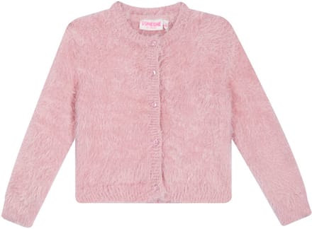 Someone - Meisjes trui - Maat 104 - Meisjes - Light Pink -