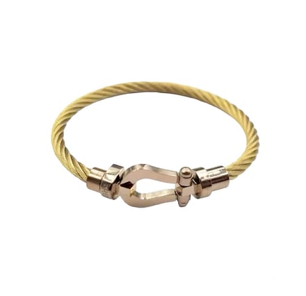 Armband Draad Goud en Rose - Elegante Armband - Luxe Armband - RVS
