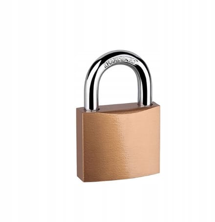 Merkloze Gietijzeren Hangslot 30mm Goud
