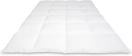 Cassenz REMBRANDT | donzen dekbed | 100% ganzendons | Winter - warmteklasse 2 - 140/220cm - 530gr.