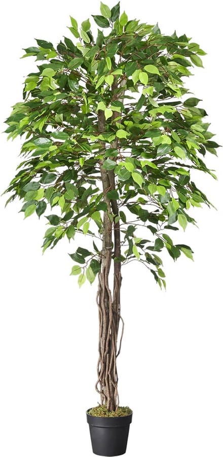 Kunstplant Ficus groen H180 cm - HTT Decorations kunstplanten