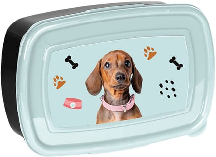 Paso Lunchbox Teckel voor Meisjes - School & Uitjes