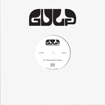 Gulp - Wildflower (Remixes) (12" Single)