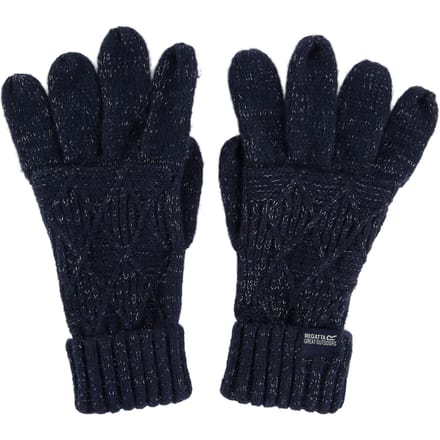 Regatta Dames/dames Winterhandschoenen (Marine)