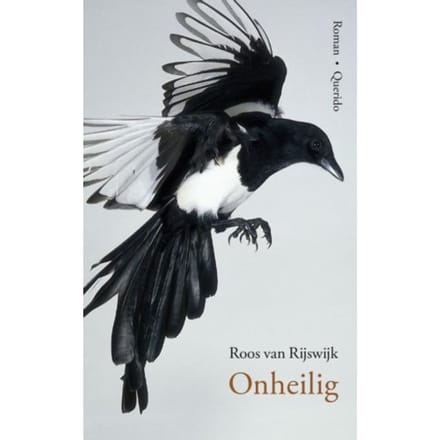 Onheilig - Roos van Rijswijk