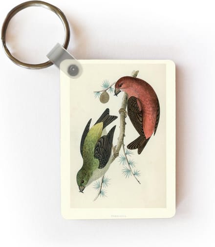 Sleutelhanger - Antieke vogelprent zangvogels - Uitdeelcadeautjes - Plastic