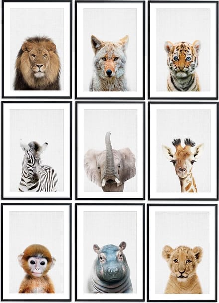 No Filter Poster - Baby Safari Dieren - 9 Posters - 20x30cm