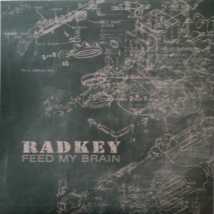 7-feed My Brain