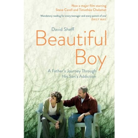 Beautiful Boy - Sheff, David