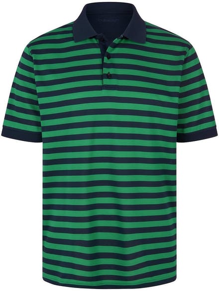 Poloshirt Van Louis Sayn groen