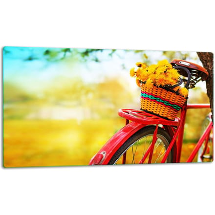 TMK ArtDeko - Snijplank - Glazen Beschermplaat - Fiets - 52x30cm