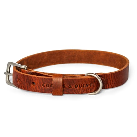 Cooper & Quint No Fuss - Halsband Hond - Leren Halsband Hond - Bruin - Zilver - Medium