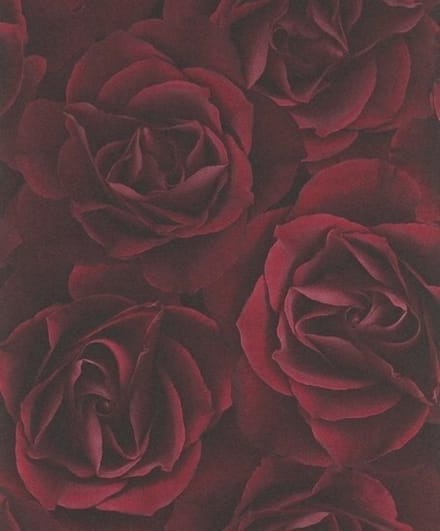 RASCH Crispy Paper rozen behang 525625
