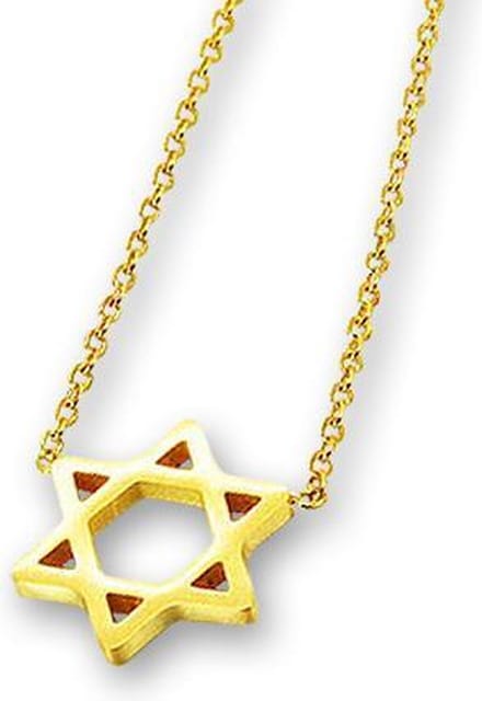 Amanto Ketting Eelke - 316L Staal - Davidster - ∅12mm - 50cm