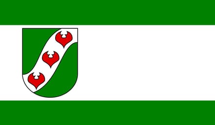 Vlag Löhne 100x150cm