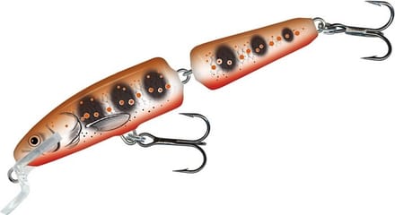 Salmo Fanatic Floating (diepte 0.5-1m) 7cm - 5g - Kleur : Hot Yam