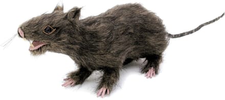 Europalms - Halloween - Decoratie - Versiering - Accesoires - Rat lifelike with coat 30cm