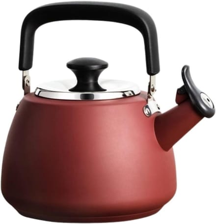 Waterkoker RVS - Fluitketel - Koken Buiten - Energie-efficiënt - 19 Liter - Rood