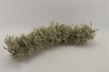Dbt Guirlande-Krans Hout-Bonsai Platina D 75 cm