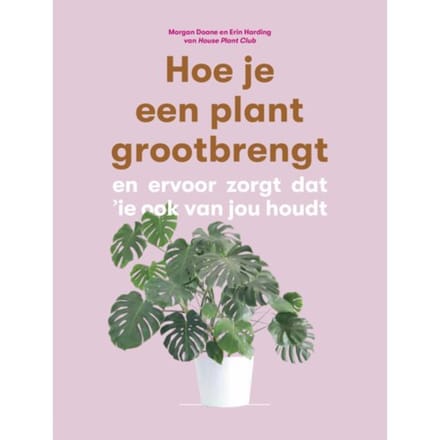 Hoe Je Een Plant Grootbrengt - Morgan Doane
