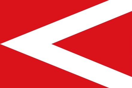 Vlag Anderlues 100x150cm