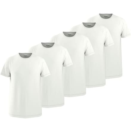 ESMARA MEN Set van 5 heren T-shirts (Wit, M)