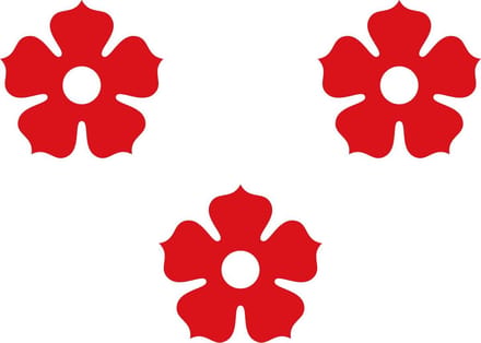 Vlag Ardooie 100x150cm