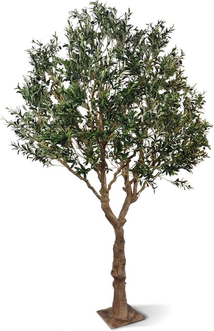 Kunst Olijfboom XL op plaat 300cm