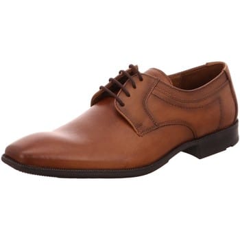 Nette Schoenen Lloyd -