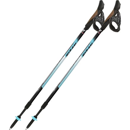Nordic Walking stokken Fizan Speed