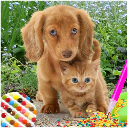 Diamond Painting Hondjes 5D Mozaïek Schilderen Set 30x30cm
