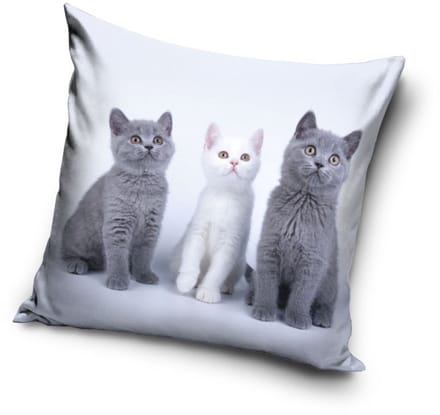 Kat Trio decoratief kussenhoes 40x40 cm fluweel