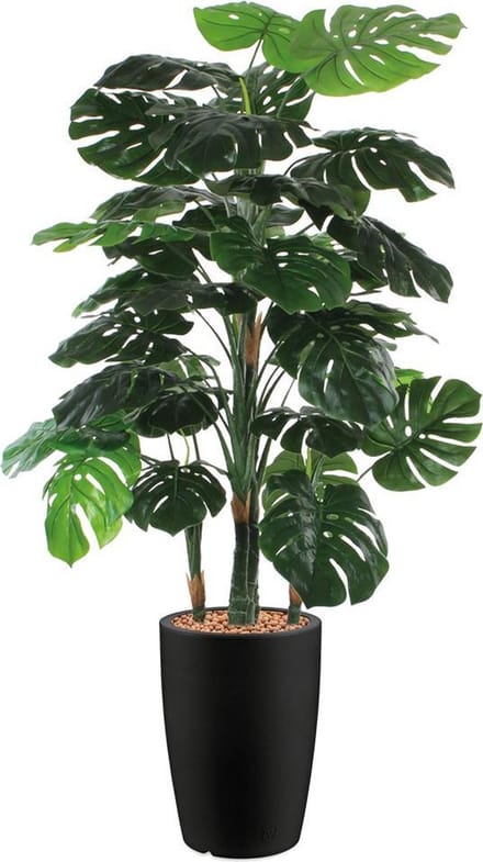 HTT - Kunstplant Monstera in Genesis rond antraciet H160 cm