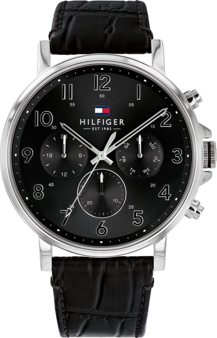 Montre Homme Tommy Hilfiger 1710381 Daniel (Zf030A) gray