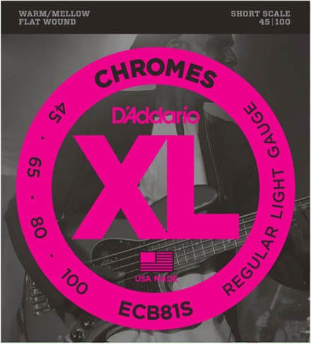 D'Addario ECB81S 45-100 Chromes Flatwound Stainless Steel - Snarenset voor 4-string basgitaar