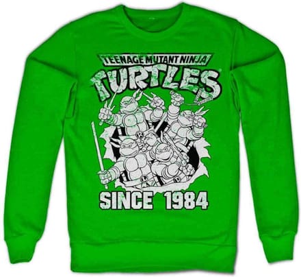 Teenage Mutant Ninja Turtles Sweater/trui -M- Distressed Since 1984 Groen