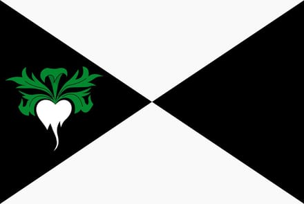 Vlag Lokeren 200x300cm