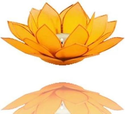Lotus kaarshouder, Capiz, geel