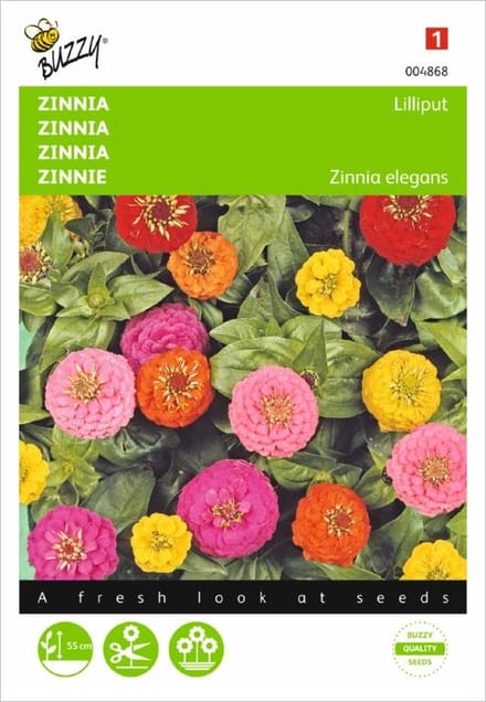 Zinnia Lilliput mix - Zinnia elegans