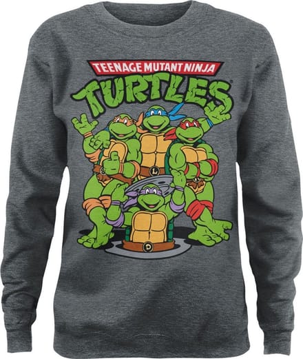 Teenage Mutant Ninja Turtles Group Girly-sweatshirt voor dames, Heather-Medium-Grey