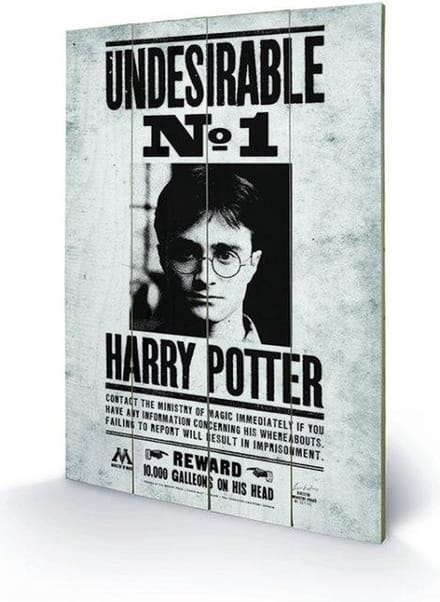 Harry Potter Undesirable No1 Wood Print